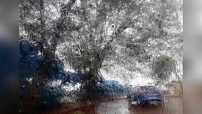 Pernem joins nine Goa stations above 1,000mm rainfall