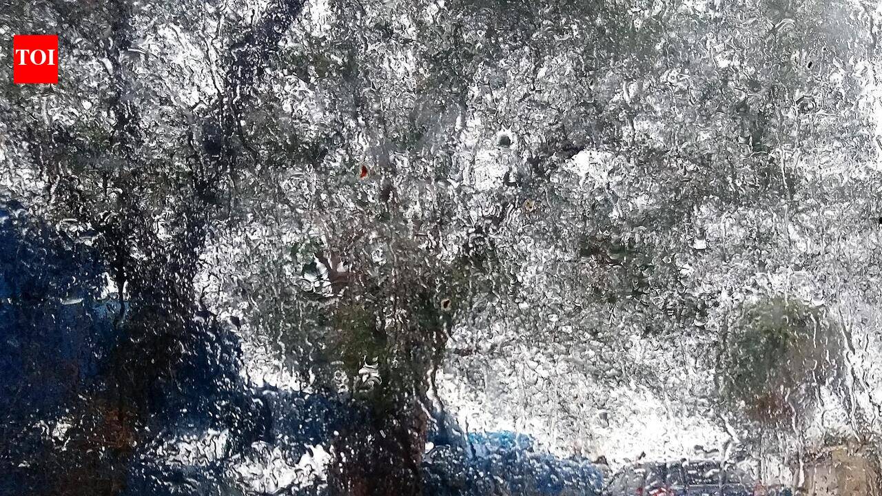 Pernem joins nine Goa stations above 1,000mm rainfall