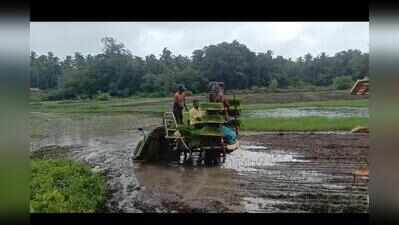 After 4 decades, Assolna villagers revive barren land with community farming