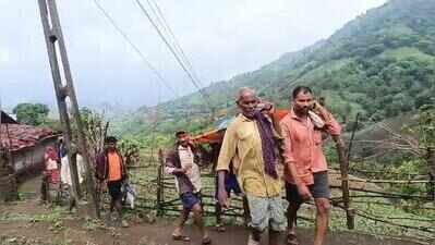 3-km ordeal: Snakebite victim carried on foot to reach ambulance