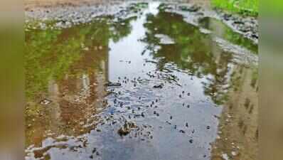 Jaipur among 191 Indian cities flagged for monsoon disease risk