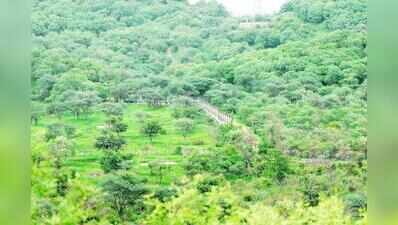 Raj prepares eco-zone master plans for 13 protected areas