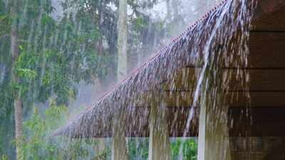 From Delhi to Odisha: Heavy to extremely heavy rainfall expected across India; IMD warns of flooding and travel disruptions