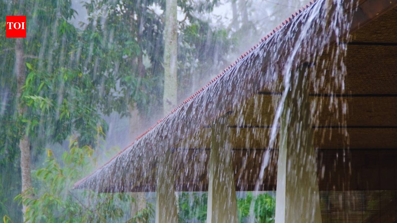 From Delhi to Odisha: Heavy to extremely heavy rainfall expected across India; IMD warns of flooding and travel disruptions