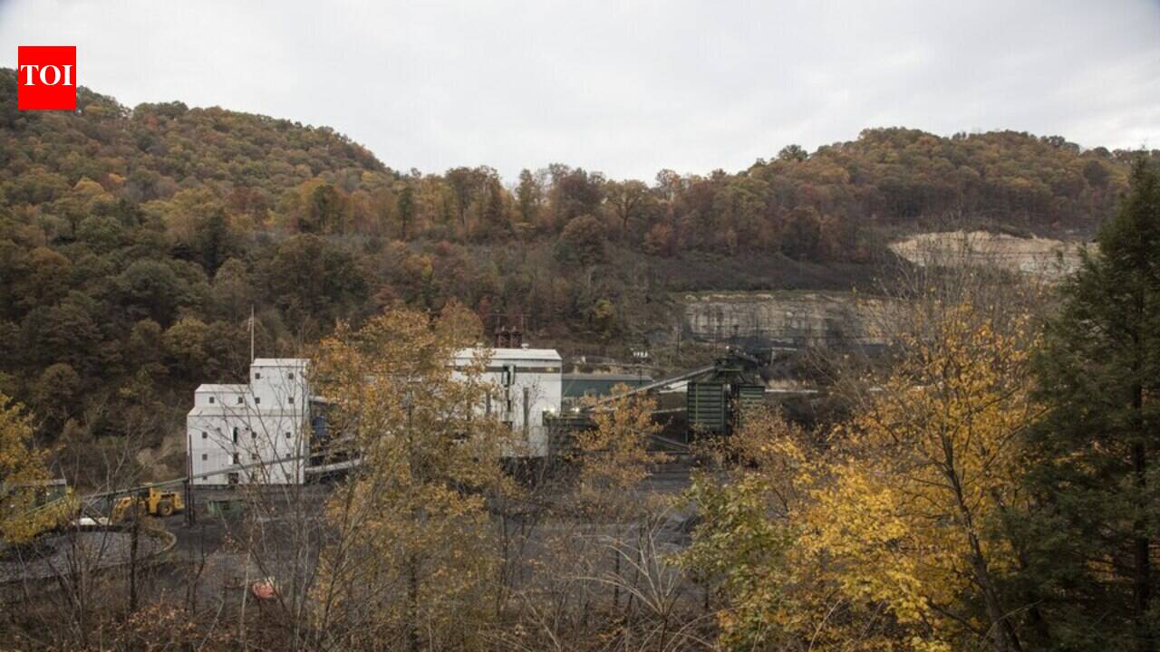 Since 2004, Green Forests Work has helped plant millions of native trees on former Appalachian coal mines, restoring compacted industrial land toward forest