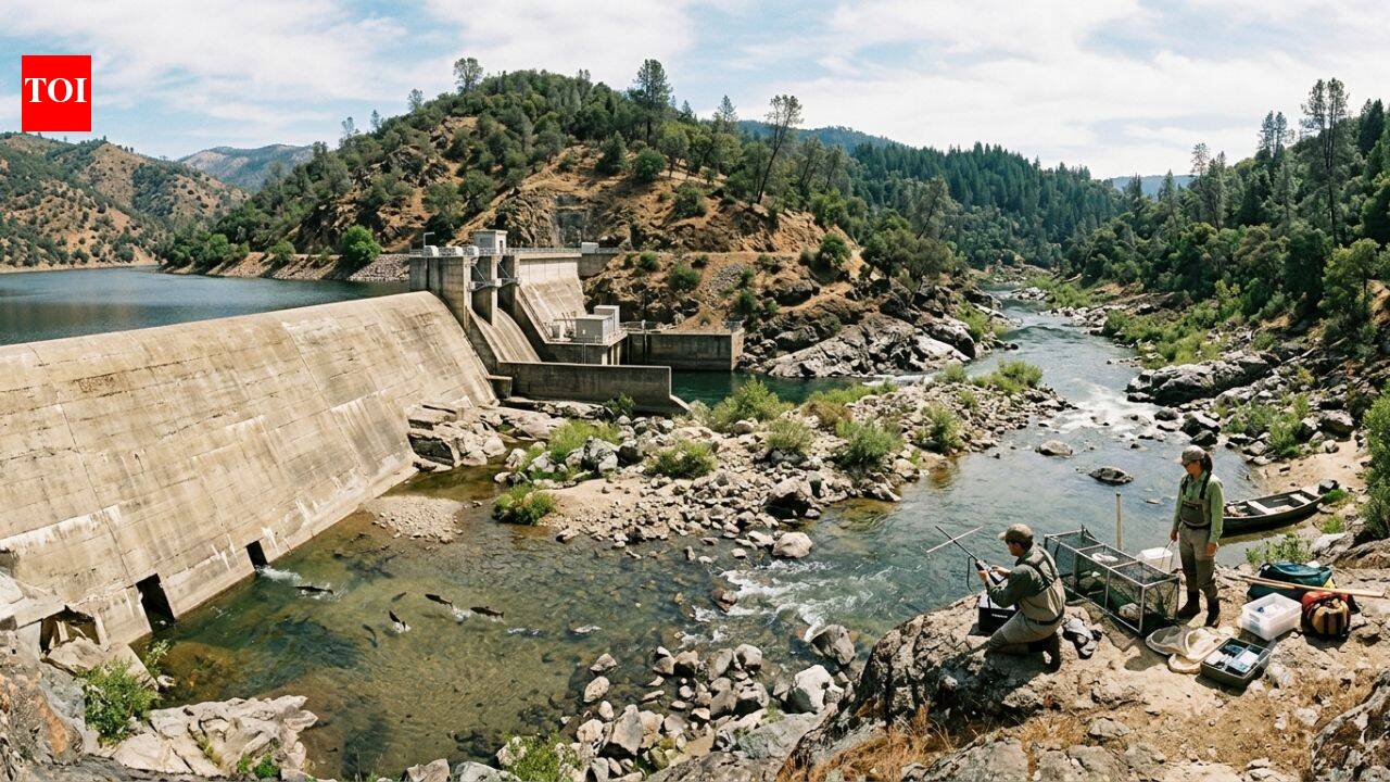 This California river once carried thousands of salmon every year. A 1942 dam changed it forever, and scientists are still trying to bring them back