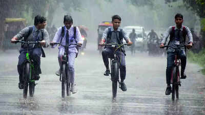 Odisha rains: Schools shut in four districts as IMD issues red alert - The Times of India