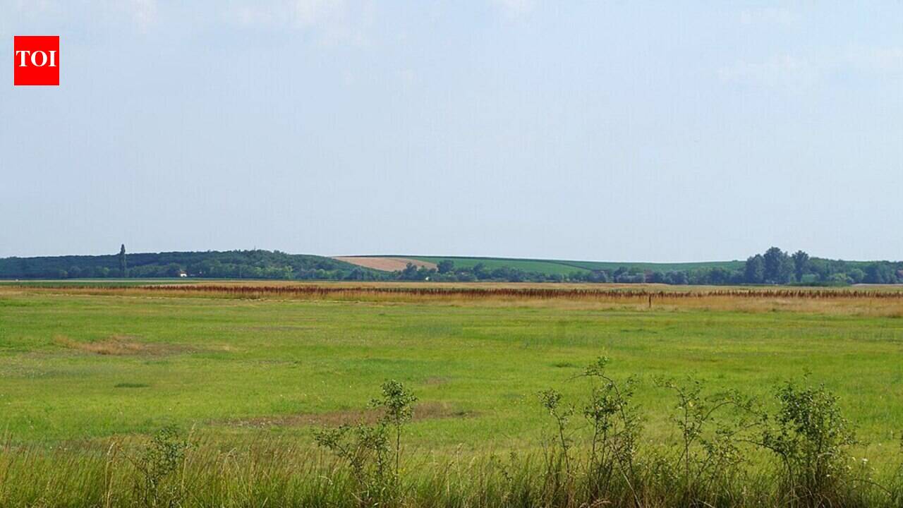 Since the 1950s, China has planted across the 640,000-sq-km Loess Plateau; some forested areas later lost up to 50% of their water yield