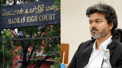 'Could open floodgates': Why Madras high court quashed govt jobs for Karur stampede victims' kin