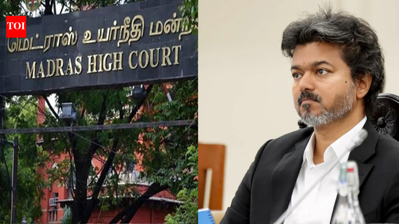 'Could open floodgates': Why HC quashed Vijay govt jobs for kin of Karur stampede victims