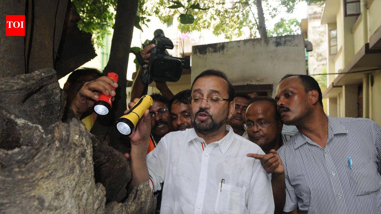 ‘What’s the hurry?’: HC bars cops from arresting Atin before bail plea hearing