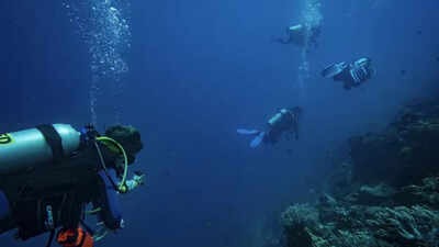 Most scuba divers believed they rarely touched reefs; underwater observers found more than 40% of contacts caused visible damage