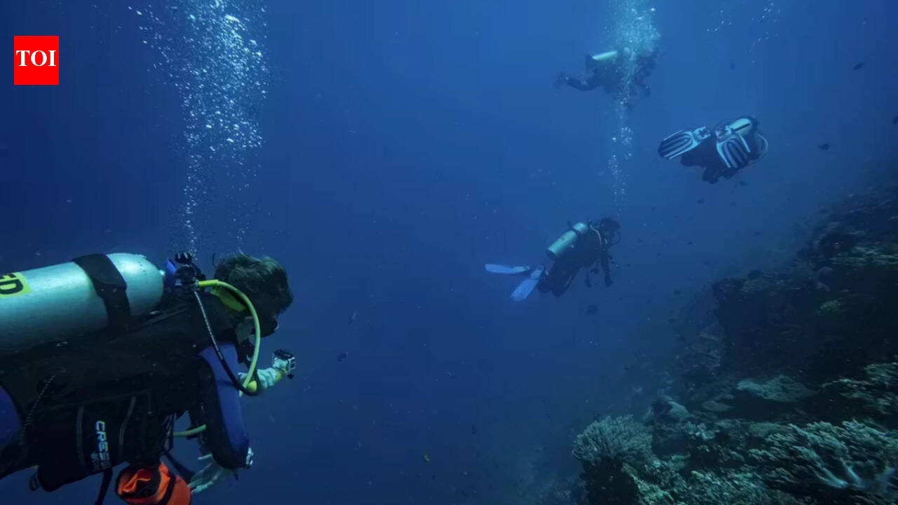 Most scuba divers believed they rarely touched reefs; underwater observers found more...
