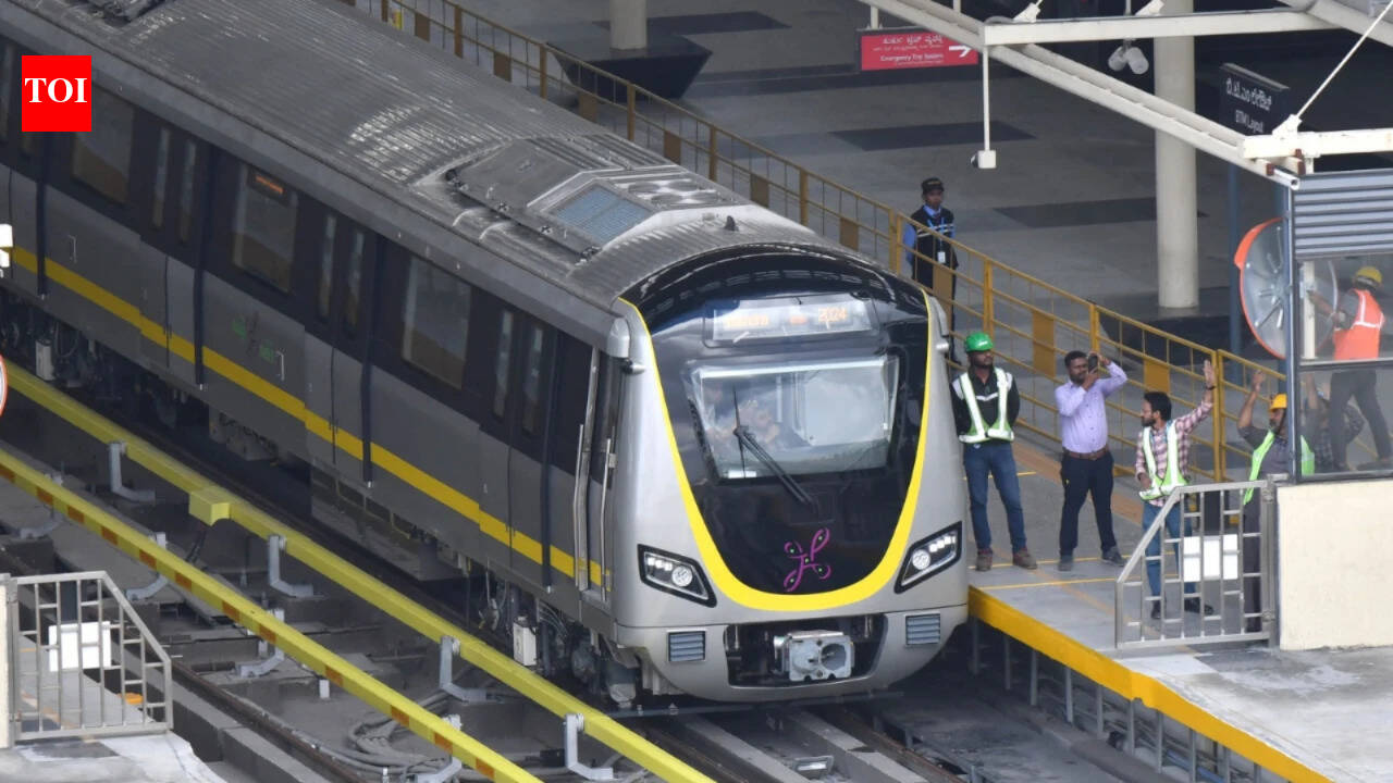 Man jumps before moving train at Bengaluru Metro station, dies; yellow line services hit