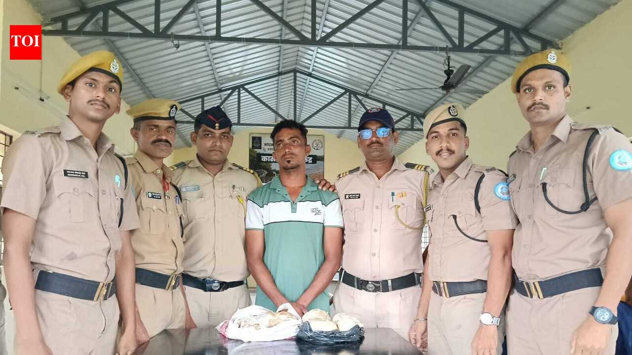 Raigad fisherman held with Rs 4 crore Ambergris
