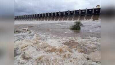 Karnataka bets on monsoon revival, decides to release Krishna water for irrigation