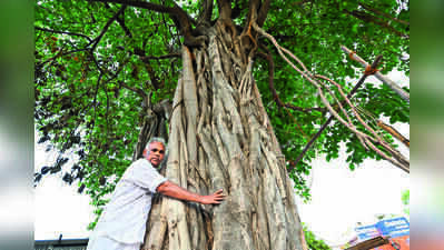 Madurai Residents Throw Birthday Bash for 107-Year-Old Banyan Tree