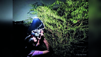 Chennai Researchers Launch City’s First Comprehensive Frog Survey