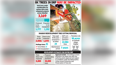 BMC tree panel to decide fate of 3,169 trees for Dharavi redevelopment & infrastructure projects in Mumbai