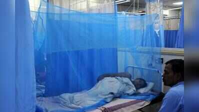 Patna reports 63 dengue cases so far this year