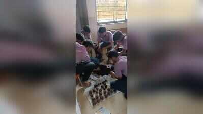 Govt college students, teachers make seed bombs to green barren lands