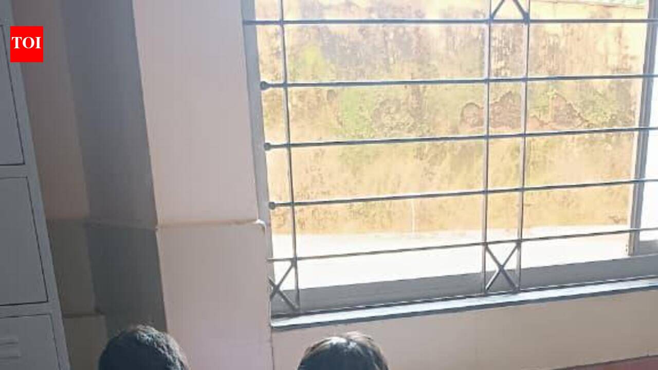 Govt college students, teachers make seed bombs to green barren lands