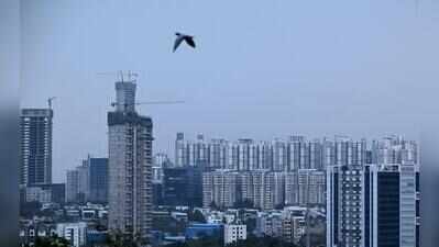 To Save Its Trees, Hyderabad Has To Count Them First