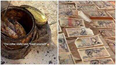 UK couple discovers hidden room behind cellar wall in century-old home, opens rusty tin and finds old cash worth over £1,000