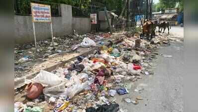 Irregular waste pickup, regular dumping: Residents flag sanitation, enforcement lapses in Sector 23A
