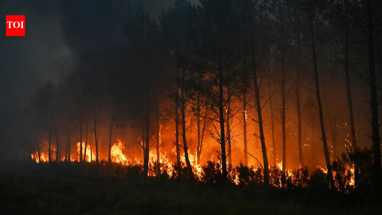 France, Spain on edge as wildfires force 320,000 evacuations
