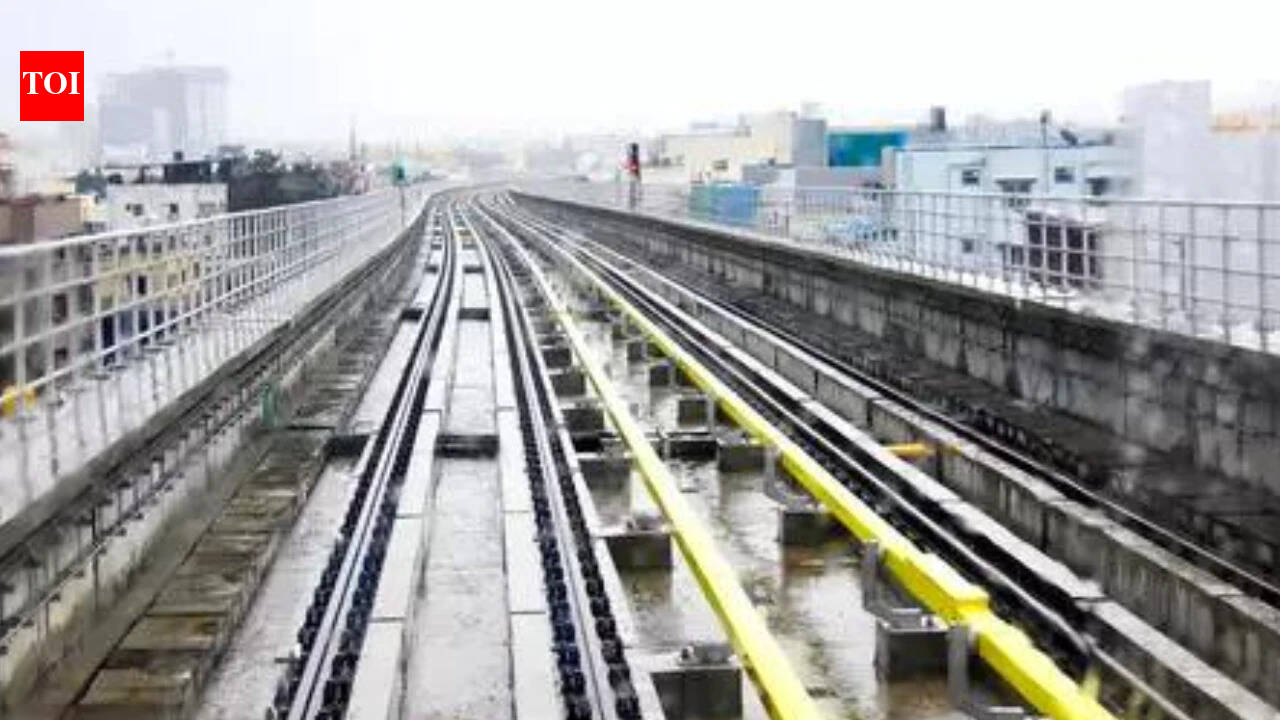Missing safety shield: Bengaluru Metro death revives demand for platform doors