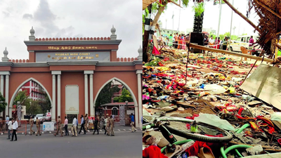Karur stampede: Madras high court quashes govt jobs for victims' kin, says employment must be earned