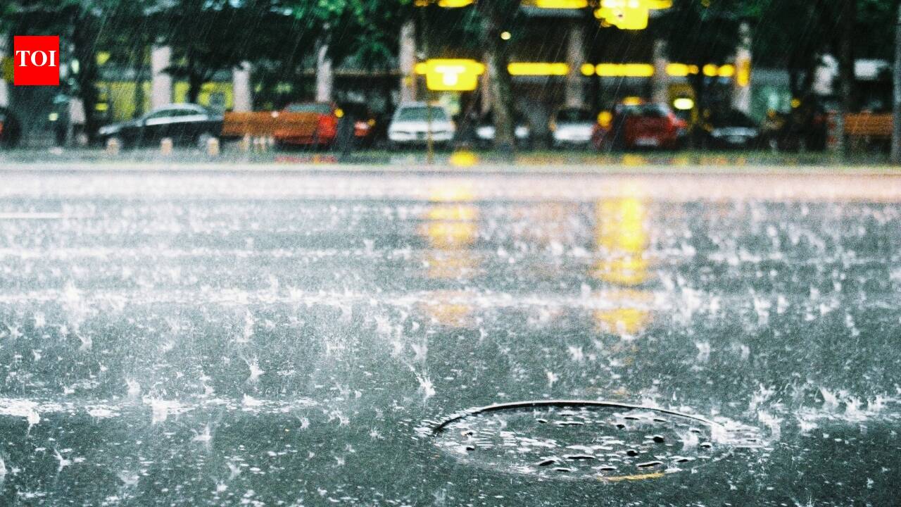 Monsoon fury to continue: IMD warns of flooding, landslides and strong winds in these Indian states; what travellers need to know