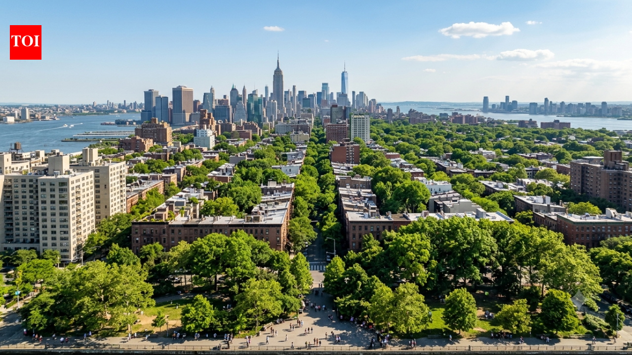 New York spent 8 years planting one million trees. Now the city is aiming for 30% tree cover by 2040 to transform its fight against rising heat