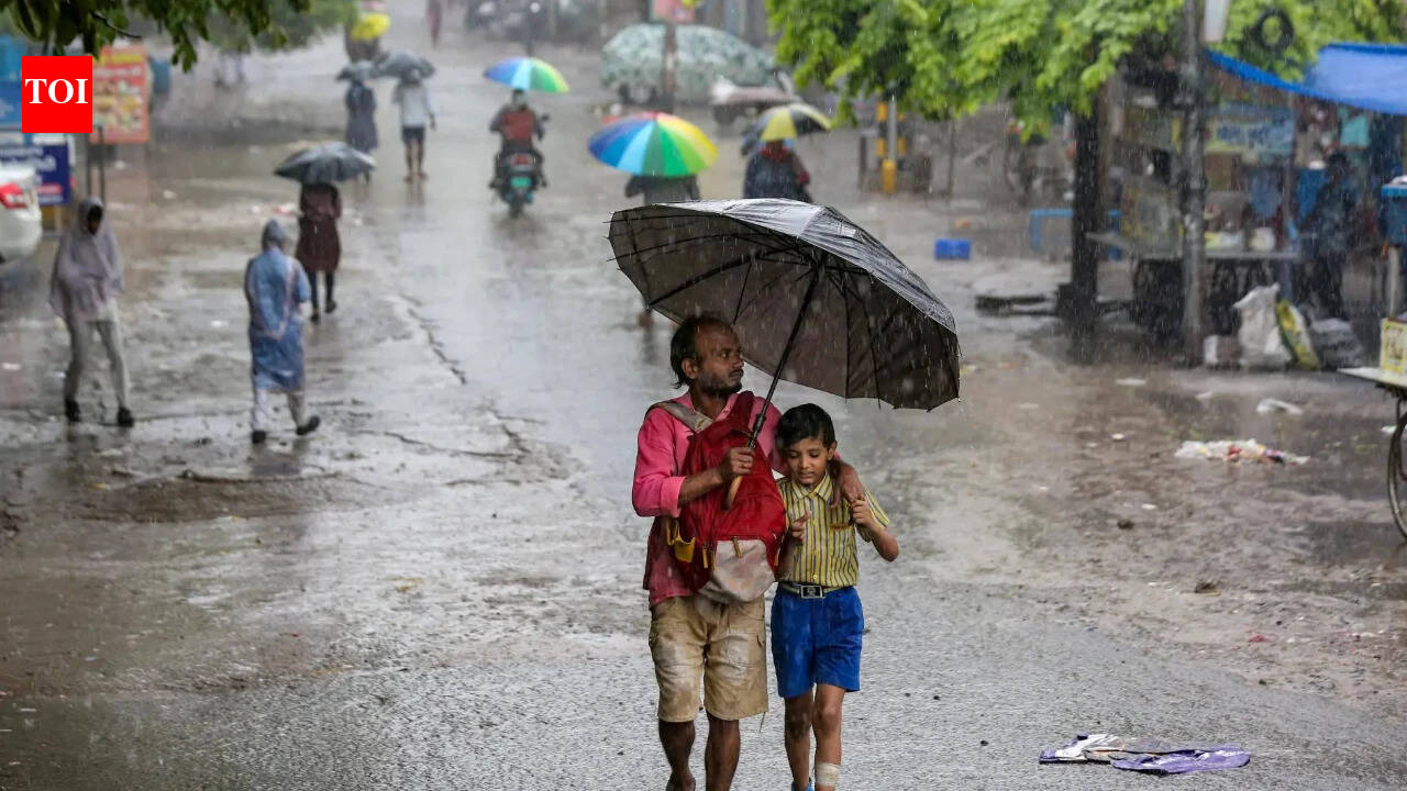 Delhi weather: Rain brings relief from humidity, IMD forecasts more showers over next few days