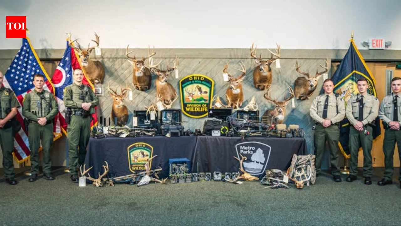 Two Ohio YouTubers behind Creek Kings Outdoors sentenced to jail after pleading guilty to 40 deer poaching charges, fined more than $37,000 and banned from hunting for five years