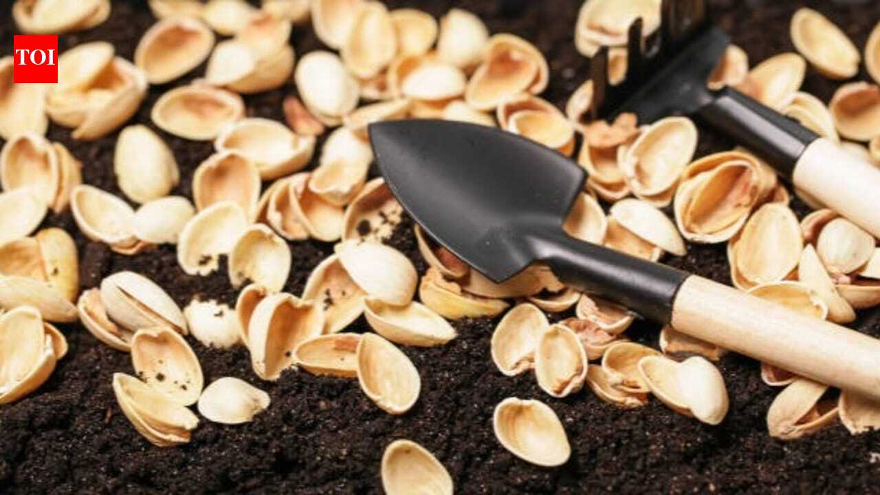 5 ways to use pistachio shells in gardening creatively