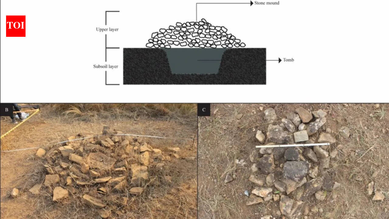 Workers building dam uncover 15th-century burials in Angola before flooding submerged them