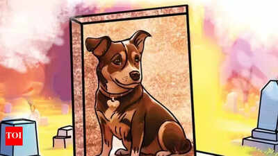 No place to grieve: India's pet crematorium crisis, city by city
