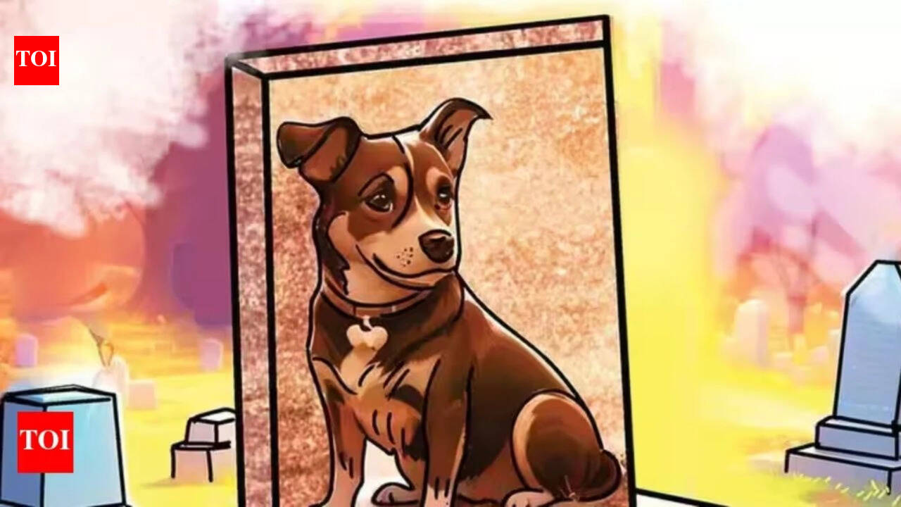 No place to grieve: India's pet crematorium crisis, city by city