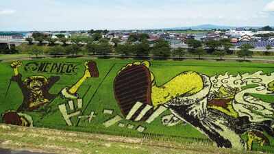 This Japanese village hides giant artworks in its rice fields: From Tanjiro to Napoleon, they only emerge every summer to mesmerise the world