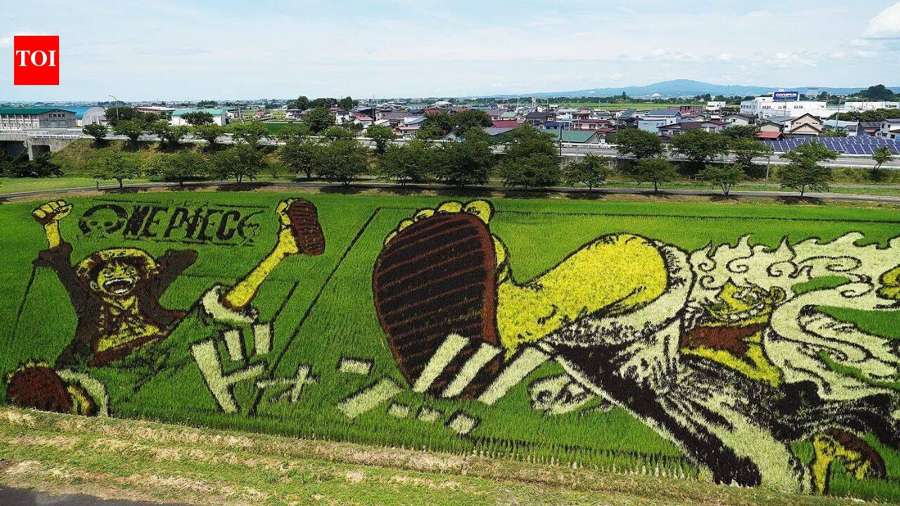 This Japanese village hides giant artworks in its rice fields: From Tanjiro to Napoleon, they only emerge every summer to mesmerise the world