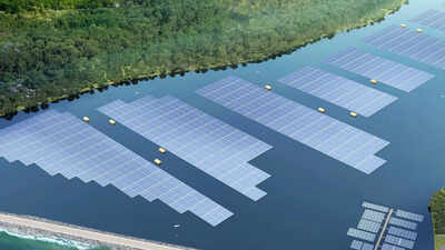 Singapore built a floating solar farm in the sea, but thousands of barnacles turned it into an engineering challenge that could sink its 13,000 solar panels