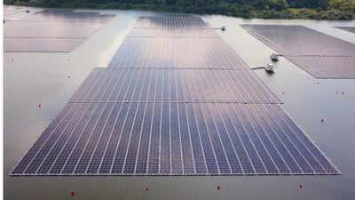 Singapore built a floating solar farm in the sea, but thousands of barnacles turned it into an engineering challenge that could sink its 13,000 solar panels