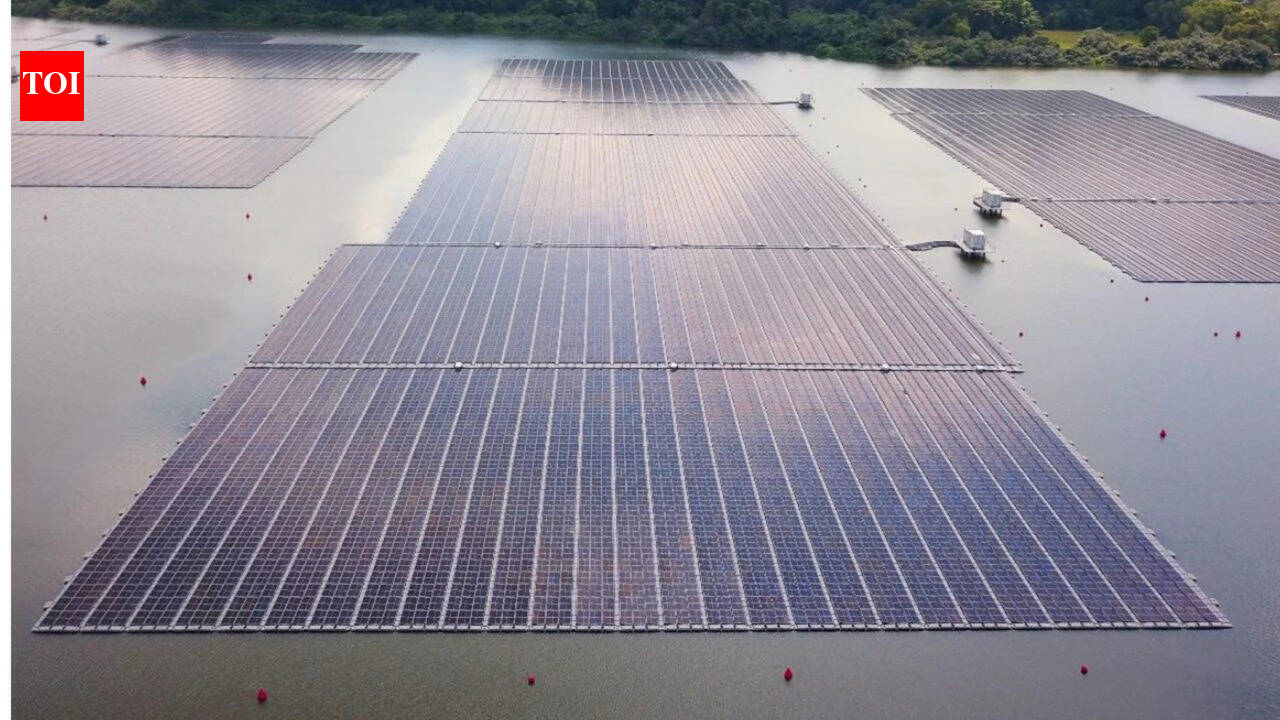 Singapore built a floating solar farm in the sea, but thousands of barnacles turned it into an engineering challenge that could sink its 13,000 solar panels