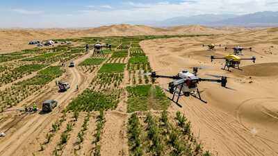 Once known as the 'Sea of Death', China's Taklamakan Desert is turning greener with drone technology