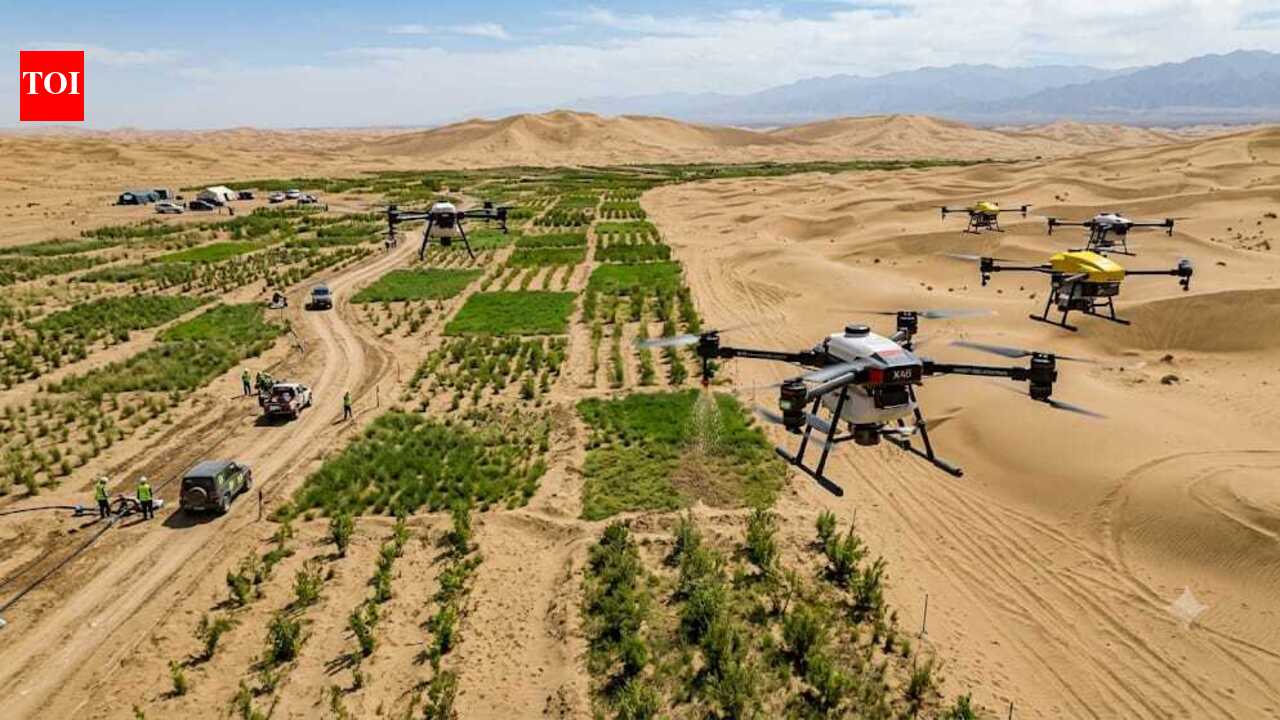 Once known as the 'Sea of Death', China's Taklamakan Desert is turning greener with drone technology