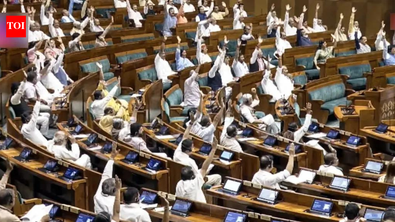 'Clock it', 'delulu': How Gen Z lingo took over Parliament during anti-paper leak Bill debate