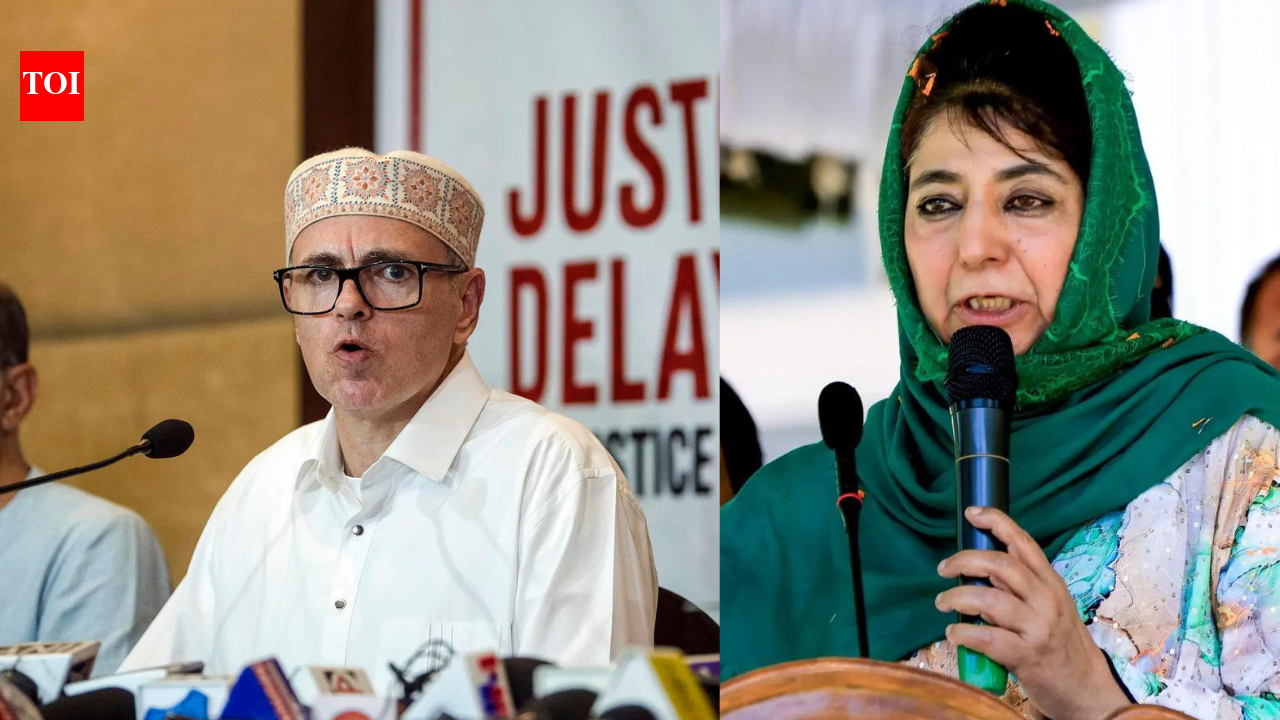 ‘Where is the apology?’ J&K CM Omar Abdullah questions Mehbooba Mufti over Jantar Mantar remarks