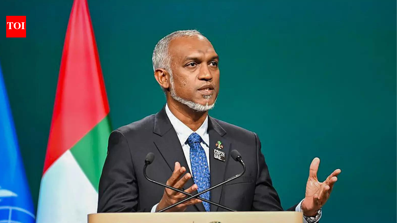 As Maldives president seeks SAARC summit, India says cooperation requires goodwill
